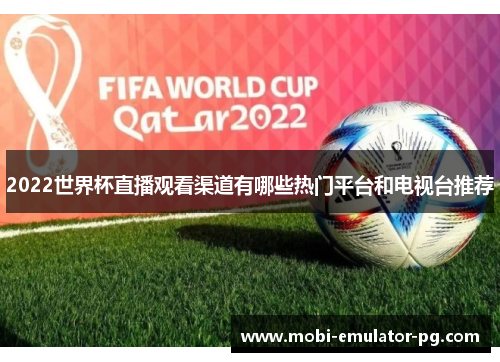 2022世界杯直播观看渠道有哪些热门平台和电视台推荐