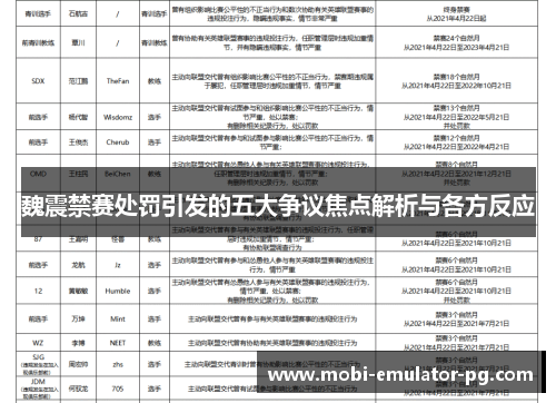 魏震禁赛处罚引发的五大争议焦点解析与各方反应