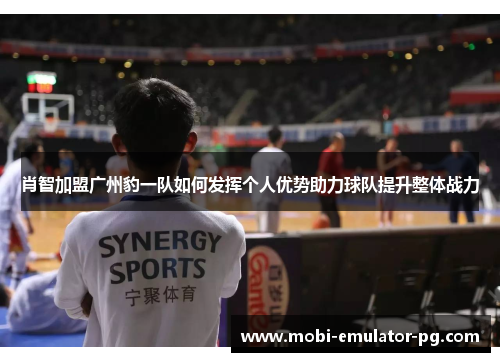 肖智加盟广州豹一队如何发挥个人优势助力球队提升整体战力