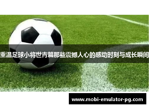 重温足球小将世青篇那些震撼人心的感动时刻与成长瞬间