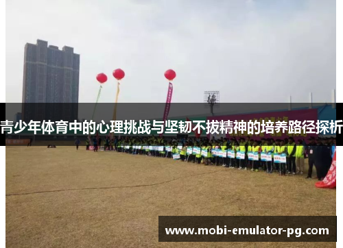 青少年体育中的心理挑战与坚韧不拔精神的培养路径探析
