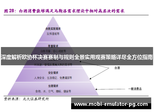 深度解析欧协杯决赛赛制与规则全景实用观赛策略详尽全方位指南
