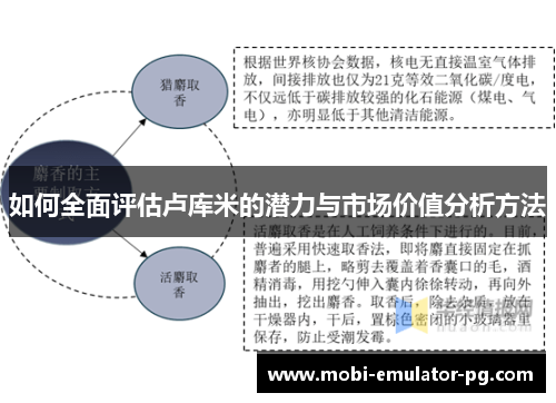 如何全面评估卢库米的潜力与市场价值分析方法