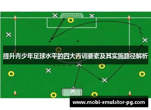 提升青少年足球水平的四大青训要素及其实施路径解析