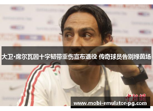 大卫·席尔瓦因十字韧带重伤宣布退役 传奇球员告别绿茵场 大卫·席尔瓦因十字韧带重伤宣布退役 传奇球员告别绿茵场