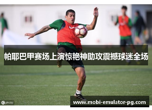 帕耶巴甲赛场上演惊艳神助攻震撼球迷全场 帕耶巴甲赛场上演惊艳神助攻震撼球迷全场