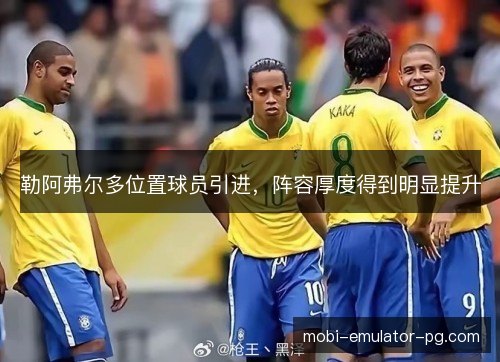 勒阿弗尔多位置球员引进，阵容厚度得到明显提升